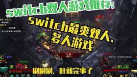 ns游戲卡 雙人游戲有哪些