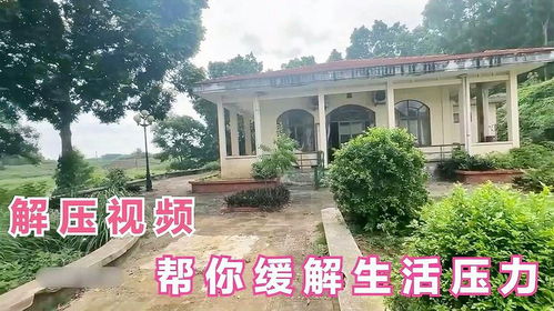 度假村什么項(xiàng)目賺錢