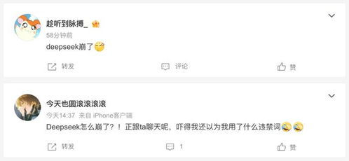 deepseek注冊失敗怎么解決