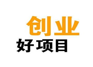 小型投資項(xiàng)目什么好賺錢