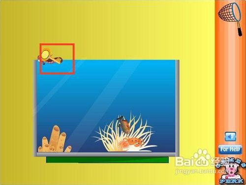 怎么用魚缸養(yǎng)魚攻略游戲
