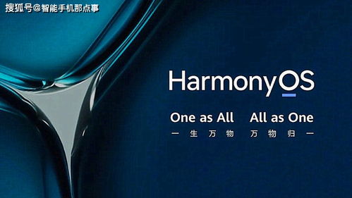 長相顯老做什么項(xiàng)目賺錢