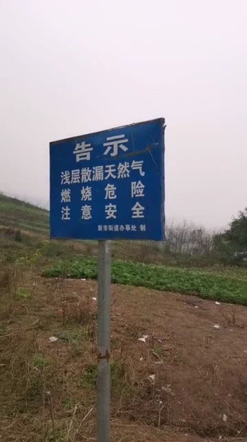 景區(qū)開(kāi)發(fā)什么項(xiàng)目賺錢(qián)多
