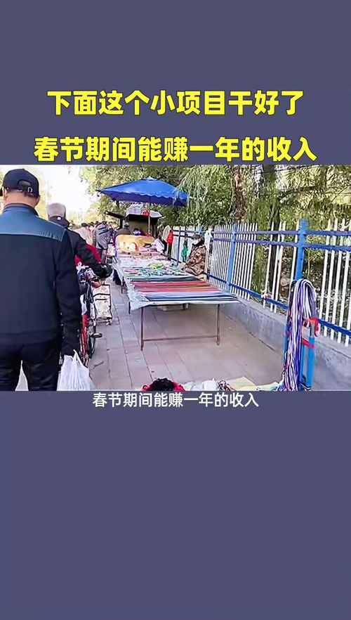 過(guò)年干什么項(xiàng)目賺錢(qián)多