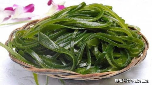 海帶怎么買游戲攻略