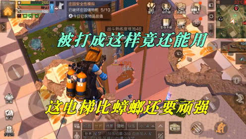 小強精彩游戲有哪些