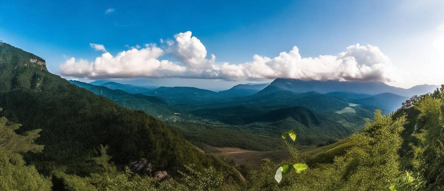 臺山市有什么賺錢項目