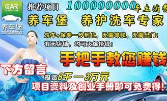 來用車賺錢的項目叫什么