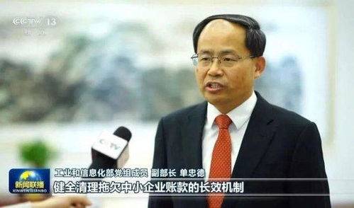 王傳福、雷軍等在新聞聯(lián)播出鏡報(bào)道