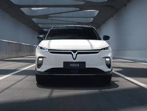 電動汽車嵐圖多少錢