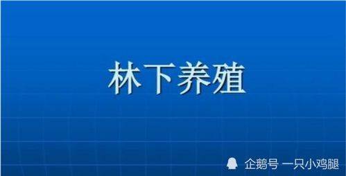 養(yǎng)殖項目做什么好賺錢