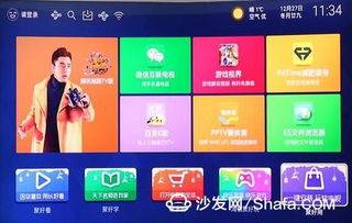 聲音放到什么星座