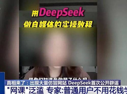 怎么用deepseek怎么賺錢