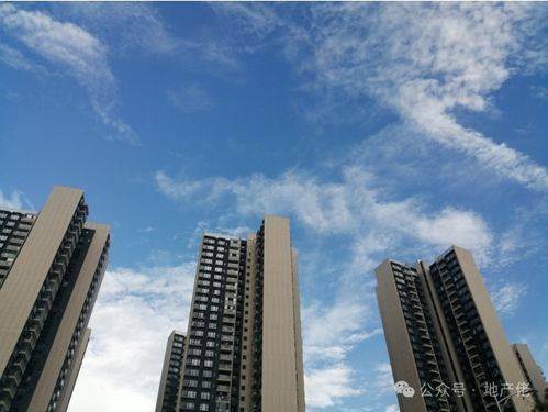 房產(chǎn)地皮怎么拍