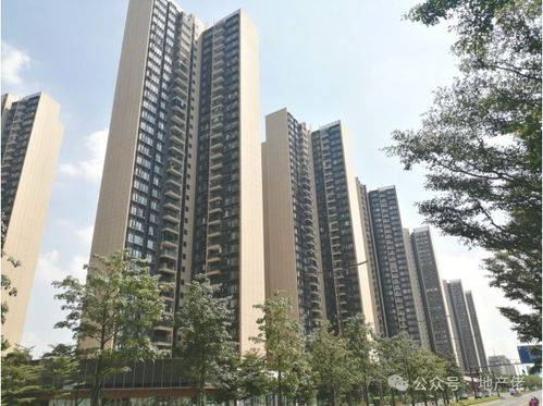 房產(chǎn)地皮怎么拍