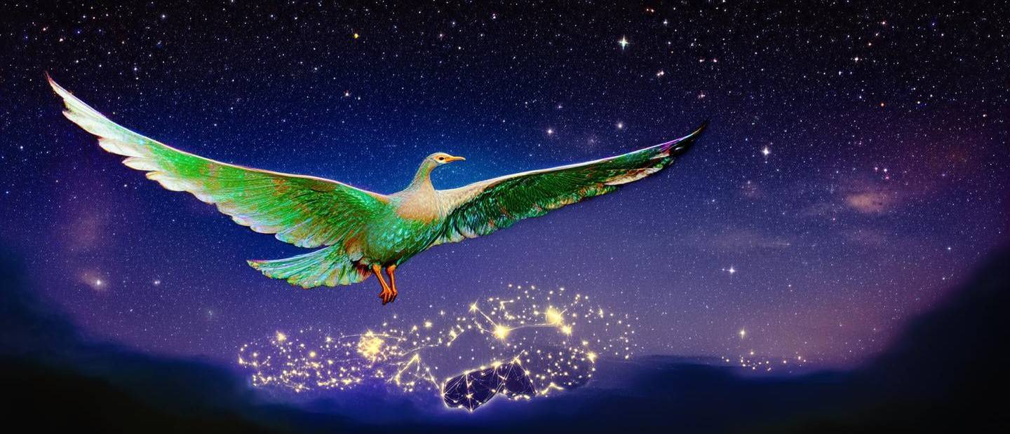 鵬泊什么星座