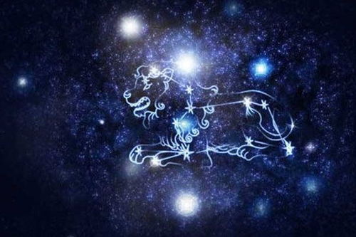 杜雪兒什么星座