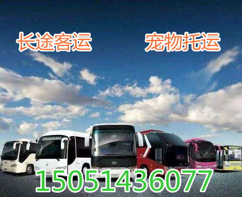 南陽到中山汽車多少錢