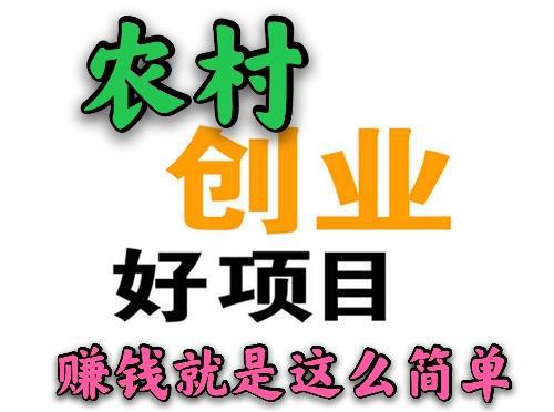 農(nóng)戶投什么項(xiàng)目最好賺錢(qián)
