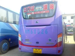 濮陽汽車拍照多少錢