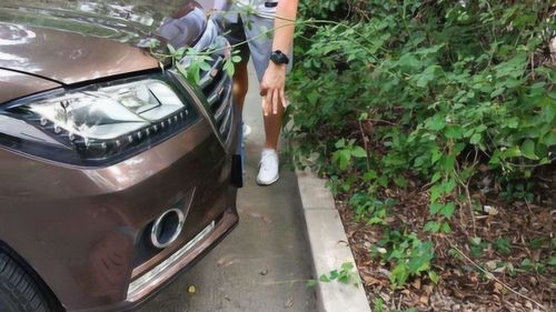 共享汽車車頭距離多少