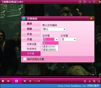 游戲攻略者的英文怎么寫