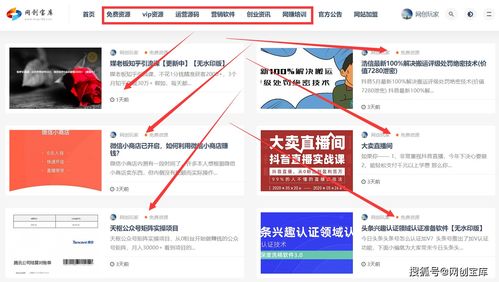 公司做什么項目好呢賺錢