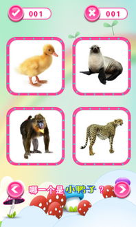 教動物打游戲的游戲有哪些