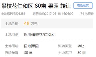 當(dāng)?shù)剡m合做什么項目賺錢