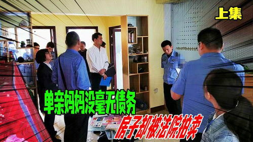 法院怎么拍賣房產(chǎn)