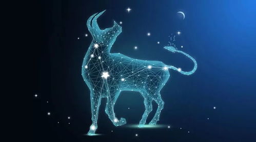 酒醉的星座是什么