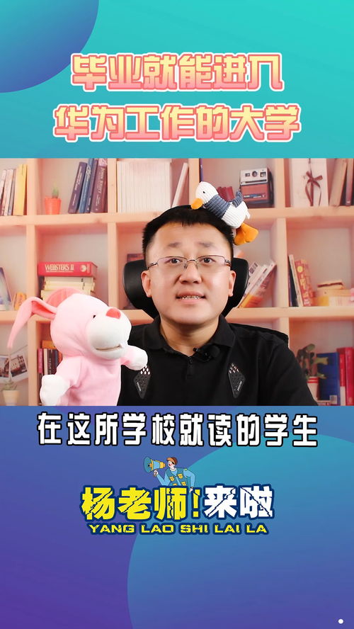 大專畢業(yè)如何進華為公司