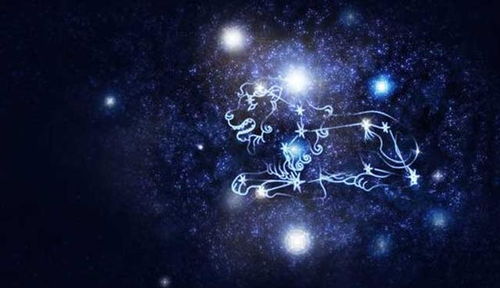 這個什么星座