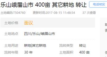 高速做什么項(xiàng)目比較賺錢