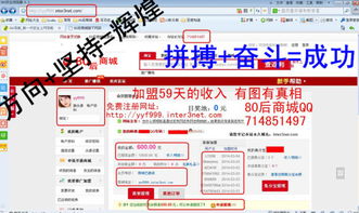 投了什么項目才能賺錢