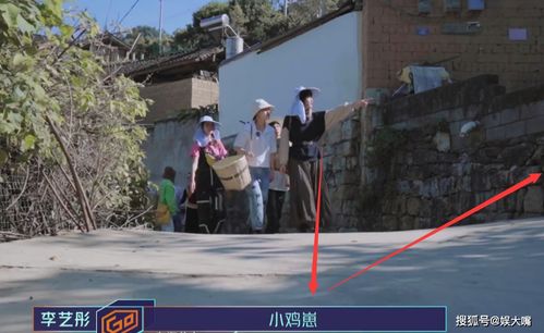 怎么捕捉小雞仔游戲攻略