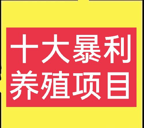 養(yǎng)什么項(xiàng)目賺錢(qián)嗎