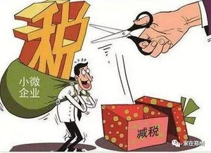 回農(nóng)村有什么項目賺錢