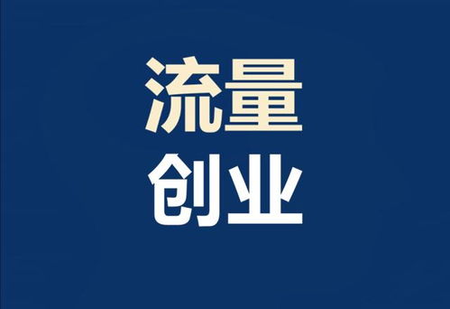 能賺錢的大項(xiàng)目是什么