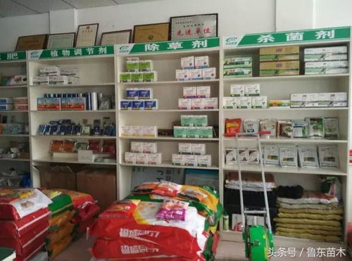 集裝箱做什么項(xiàng)目最賺錢