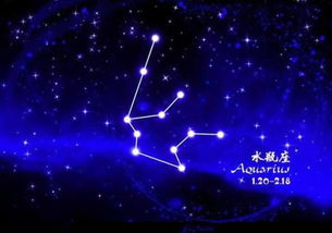 2月2號(hào)是什么星座