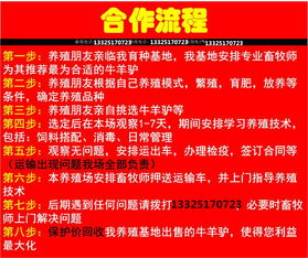 創(chuàng)業(yè)養(yǎng)殖什么項(xiàng)目賺錢