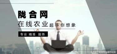 創(chuàng)業(yè)養(yǎng)殖什么項(xiàng)目賺錢