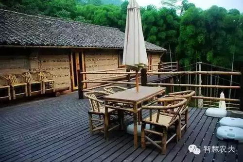 酒店民宿做什么項目賺錢
