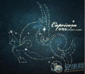 摩羯座個什么星座配