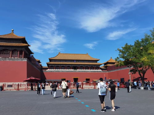故宮攻略帶娃游戲怎么玩 故宮攻略帶娃游戲怎么玩