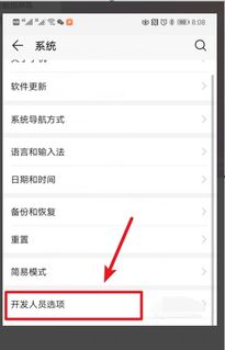 華為如何刪除白點(diǎn)