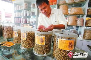 炒藥材賺錢的項(xiàng)目是什么