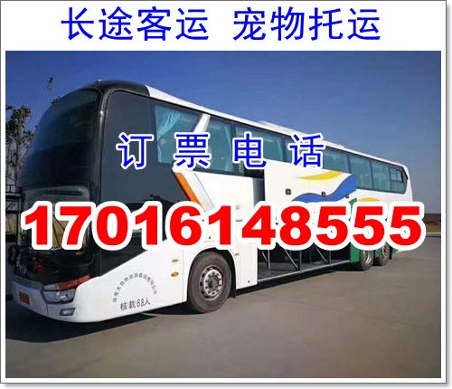 濟(jì)南到棗莊汽車多少錢