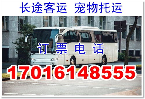 漢中到勉縣汽車多少錢